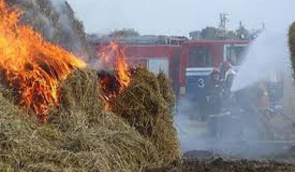 հրդեհ անասնակեր