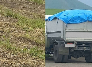 Հայտնաբերվել է Ծովագյուղից ապօրինի դուրս բերված սևահող