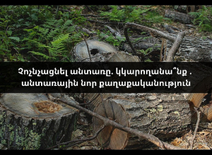 Չոչնչացնել անտառը. կկարողանա՞նք . անտառային նոր քաղաքականություն․ ուղիղ