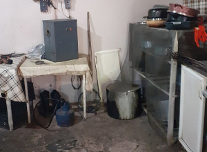 Հանրային սննդի օբյեկտը գործել է սանիտարահիգիենիկ նորմերի կոպիտ խախտումներով