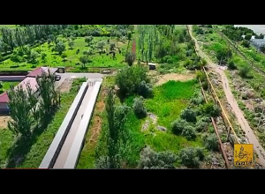 Երևանում կկառուցվի թափառող կենդանիների մշտական խնամքի կացարան