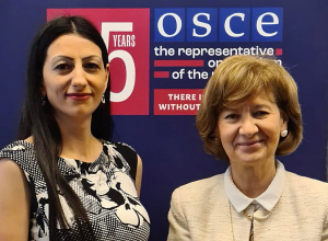 Պաշտպան Անահիտ Մանասյանը հանդիպել է ԵԱՀԿ մամուլի ազատության հարցերով ներկայացուցչի հետ