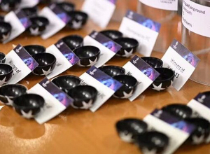 Հայտնի են հայկական ակումբների հավանական մրցակիցները նաև ՉԼ և ԿԼ որակավորման 2-րդ փուլում