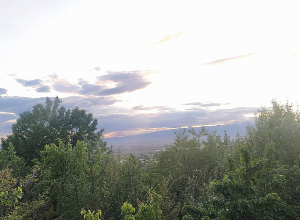 Погода на ближайшие дни