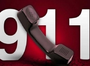 Կատվին իջեցնելու համար քաղաքացին բարձրացել է ծառը և չի կարողանում ինքնուրույն իջնել