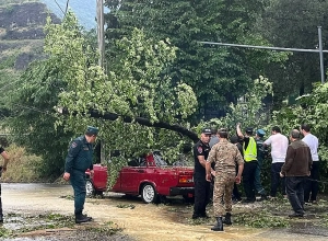 Ծառն ընկել է մեքենայի վրա, բարձրավոլտ էլեկտրասյուները՝ ճանապարհի