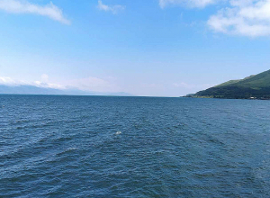 Սևանա լճում՝ Գրողների միության հանգստյան տան մոտ, հայտնաբերվել է կնոջ մարմին