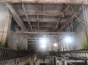 Թռչնամսի արտադրամասը գործել է սահմանված սանիտարահիգիենիկ նորմերի խախտումներով