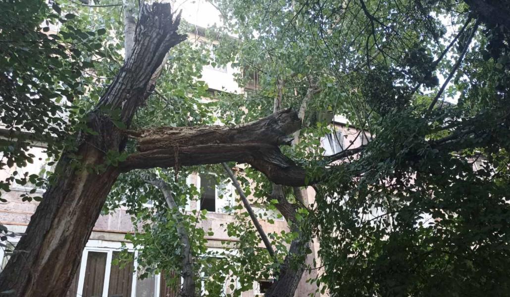 359424833_219800914349352_3010849236368673747_n