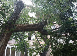 Վնասներ Երեւանում՝ քամու հետևանքով