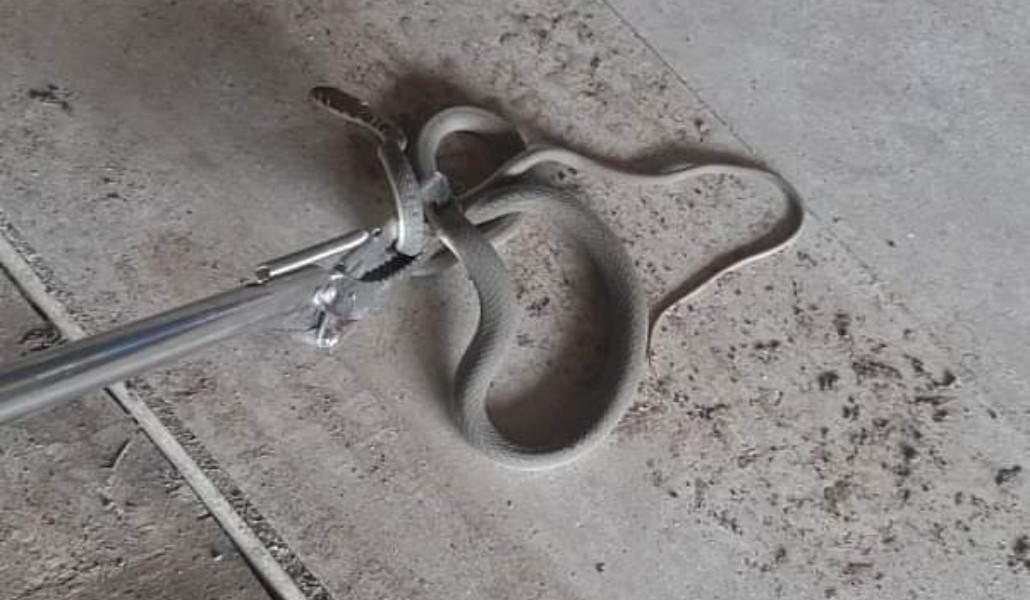 FB_IMG_1688875753301