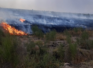26 ահազանգ է ստացվել մոտ 8.7 հա տարածքում բռնկված հրդեհների վերաբերյալ