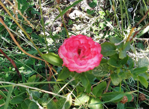 Ինչպիսի եղանակ է սպասվում