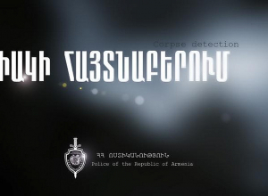 Վրաերթից հետո մարմինը թաքցրել էին դաշտում․ 4 անձ ձերբակալվել է