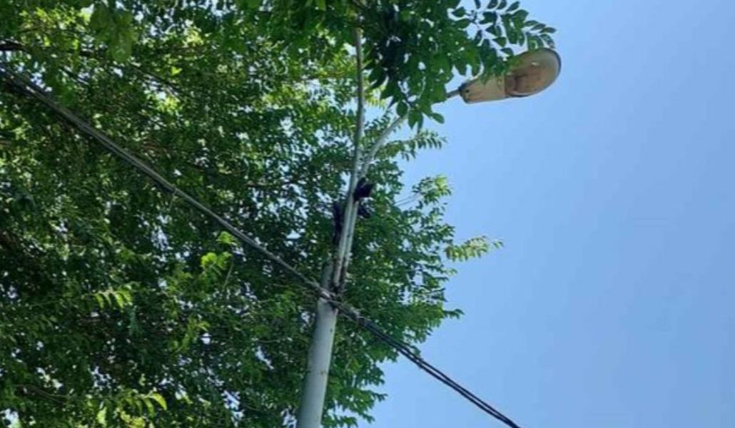 361864589_226542060341904_5724146907088530150_n