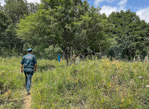 Ուշադրության կենտրոնում են  հատկապես հանգստյան և զբոսաշրջության համար նախատեսված վայրերը