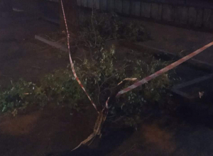 Վնասներ՝ քամու հետևանքով