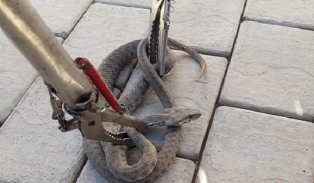 FB_IMG_1690433979123