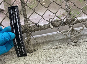 Կալանավորին փախցնել չհաջողվեց Սևանի ոստիկանների արագ և պրոֆեսիոնալ աշխատանքի շնորհիվ