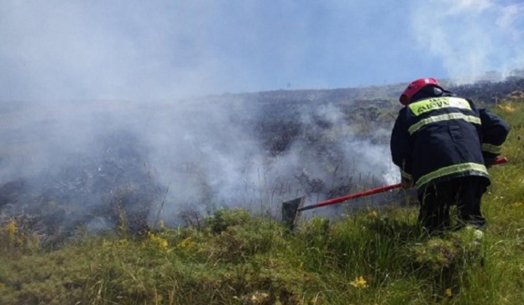 364761951_234190696243707_1586383601214965757_n