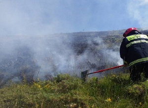 Հրշեջ-փրկարարները մարել են մոտ 27 հա խոտածածկ տարածքներում բռնկված հրդեհները