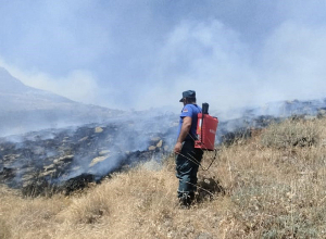 Հրդեհ Աղավնաձոր գյուղում