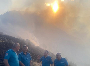 Աղավնաձոր գյուղի մոտ մի քանի օջախներով այրվում է շուրջ 60 հա խոտածածկույթ․ թարմացված