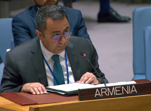 Լեռնային Ղարաբաղում սովի աճող ռիսկերը պահանջում են միջազգային հանրության անհապաղ արձագանքը. ԱԳ փոխնախարարի ելույթը ՄԱԿ-ում