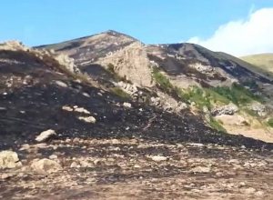 Աղավնաձոր գյուղում հրդեհաշիջման աշխատանքները վերսկսվել են․ տեղանքում կա քամու որոշակի ուժգնացում