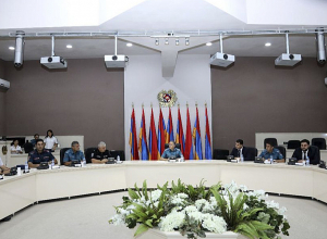 ՀՀ վարչապետի որոշմամբ ստեղծված աշխատանքային խմբի անդրանիկ նիստը՝ ուղղված անտառային հրդեհների կանխարգելմանը