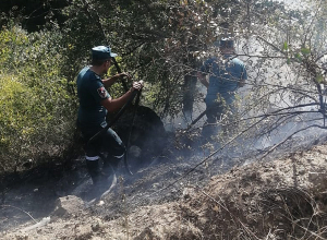 Սյունիքի Ծավ գյուղում հրդեհ է բռնկվել․ Սահմանվել է հերթապահություն