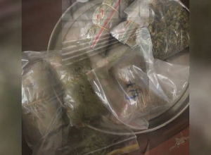 Մեղադրանք է ներկայացվել՝ թմրամիջոցներ պարունակող մեծ քանակությամբ բույսեր աճեցնելու, թմրամիջոցների ապօրինի շրջանառության համար