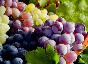 Այսօր խաղողօրհնեք է