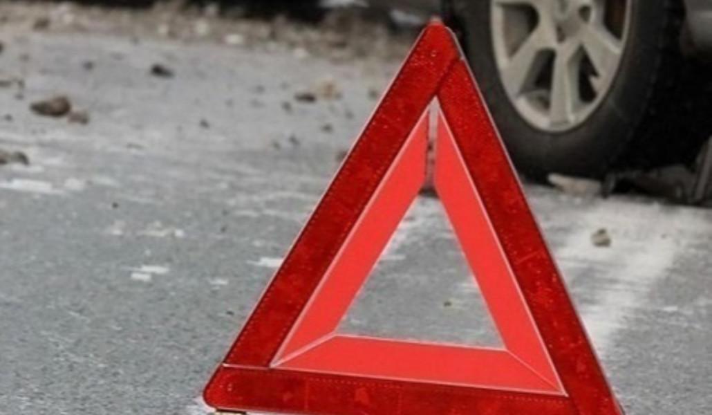 368428024_245723305090446_7782407670180296171_n