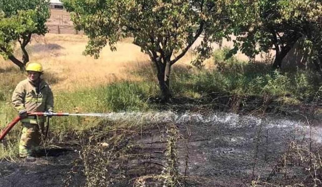 FB_IMG_1692510225815