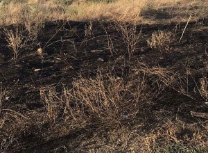 Շվանիձոր գյուղում բռնկված հրդեհը մարվել է