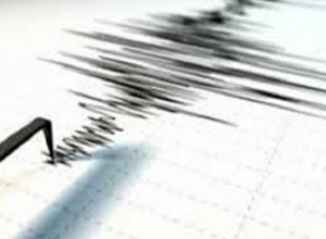 5 բալ ուժգնությամբ երկրաշարժ է գրանցվել․ զգացվել է Լոռու մարզում