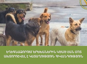 Եղեգնաձորում երեխաներին կծած շան մոտ ախտորոշվել է կատաղություն հիվանդություն