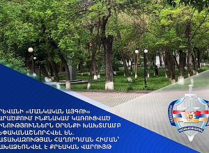 Երևանի «Մանկական այգու» տարածքում ինքնակամ կառուցված շինություններն օրենքի խախտմամբ սեփականաշնորհվել են