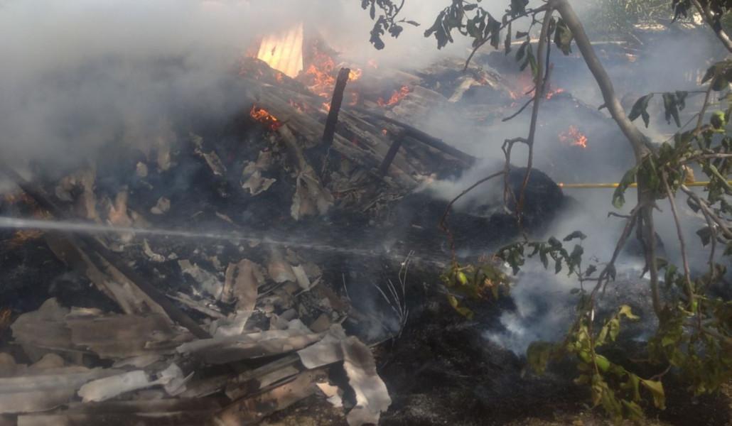 375456552_255909784071798_7627614290223652927_n