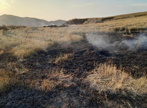 Տավուշի Մովսես գյուղում այրվել են մոտ 6 հա խոտածածկույթ և մոտ 2000 քմ հնձած արտ