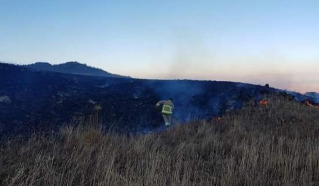 FB_IMG_1694884020868