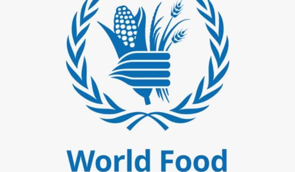 World-Food-Programme-Internship-780x470