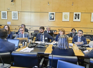 Երկխոսություն ՄԱԿ-ի Տնտեսական, սոցիալական և մշակութային իրավունքների կոմիտեի հետ