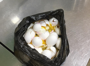 Դպրոցի ճաշարանում հայտնաբերվել է ժամկետանց սննդամթերք