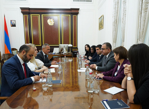 Փոխվարչապետը և ԿԽՄԿ պատվիրակության ղեկավարը քննարկել են ԼՂ-ից բռնի տեղահանված անձանց կարիքներին վերաբերող հարցեր