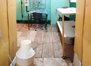 Կասեցվել է թանի արտադրամասի արտադրական գործունեությունը