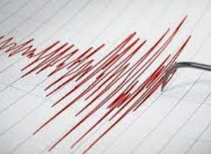 Землетрясение, произошедшее в Иране, ощущалось и в Сюникской области