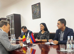 Անահիտ Մանասյանը Բելգիայի դեսպանին ներկայացրել  է Լեռնային Ղարաբաղից բռնի տեղահանված անձանց իրավունքների պաշտպանությանն առնչվող հարցեր