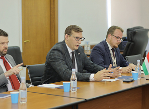 ՏԿԵ փոխնախարարը Հունգարիայից ժամանած պատվիրակությանն է ներկայացրել ԼՂ-ից բռնի տեղահանված հայրենակիցներին հատկացված օժանդակության ծրագրերը